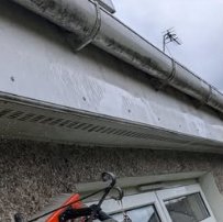 Green-stained fascia and gutter before